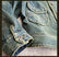 Shawl Collar Washed Denim Jacket